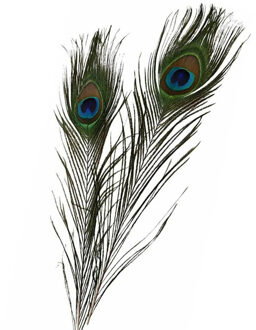 HBX natural living Pauwenveren - 5x - 80 tot 90 cm - multi kleuren - namaak decoratie veren van een Pauw