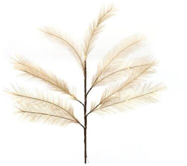 HBX natural living Pluimgras tak met LED 72cm Coffee bruin