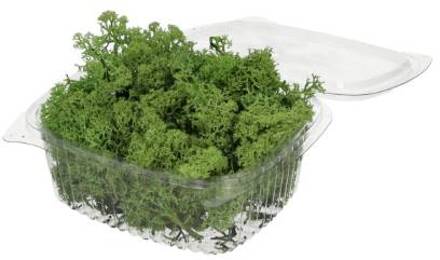 HBX natural living Rendiermos 50gr groen