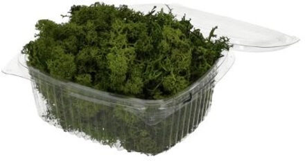 HBX natural living Rendiermos 50gr groen