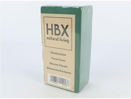 HBX natural living Steekschuim nat blok 20x10x7,5cm verpakt Groen