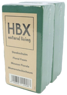 HBX natural living steekschuim/oase - 2x - groen - L20 x B10 x H7,5 cm - foam - rechthoekig