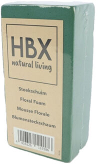 HBX natural living steekschuim/oase - groen - L20 x B10 x H7,5 cm - foam - rechthoekig