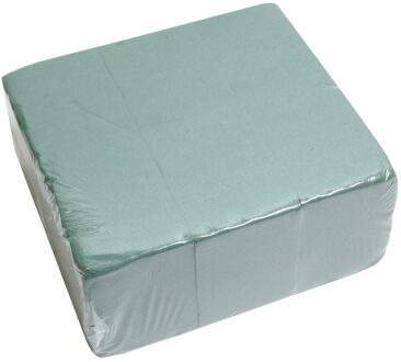 HBX natural living steekschuim/oase - set 3x stuks - groen - L20 x B10 x H7,5 cm- rechthoekig