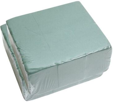 HBX natural living steekschuim/oase - set 6x st - groen - L20 x B10 x H7,5 cm- rechthoekig