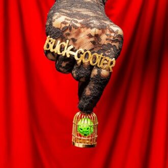 Head In A Bird Cage -Download- - Buck Gooter