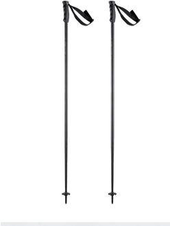 Head Multi Ski Stokken 120 Zwart