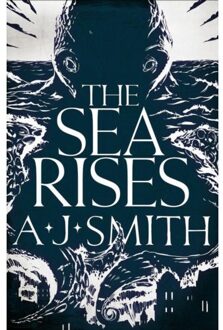 Head Of Zeus Form And Void (03): The Sea Rises - A.J. Smith