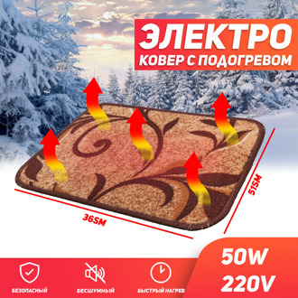 Heated carpet No. 2 (a)