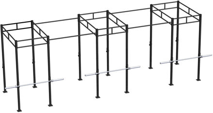 Heavy Duty Crossfit Rig V21