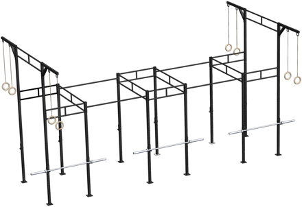 Heavy Duty Crossfit Rig V22