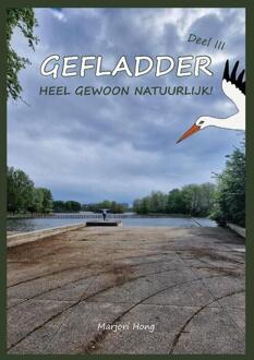 Heel gewoon natuurlijk! -  Marjori Hong (ISBN: 9789083194639)
