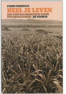 Heel je leven - Boek Piero Ferrucci (9060203429)