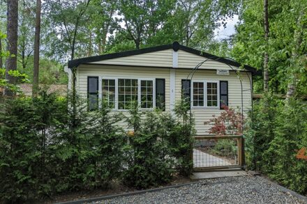 Heerlijk 4-persoons stijlvol ingericht chalet in Uddel