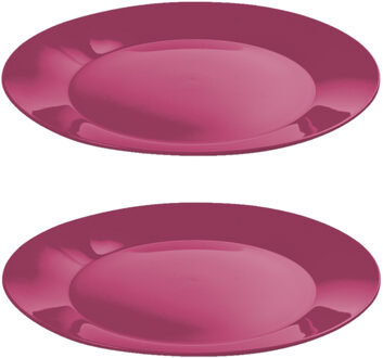 Hega hogar Ontbijtbordjes - 12x st - roze - 21 cm - hard kunststof - dinerborden - camping bordjes