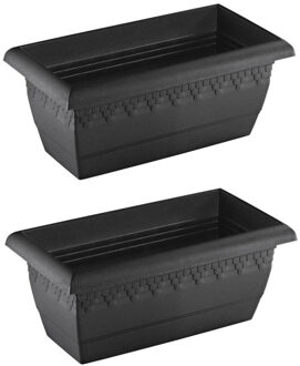 Hega hogar Plantenbak - 2x - antraciet - rechthoek - kunststof - 40 x 20 cm