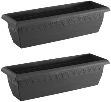 Hega hogar Plantenbak Jardinera - 2x - antraciet - rechthoekig - 60x20 cm