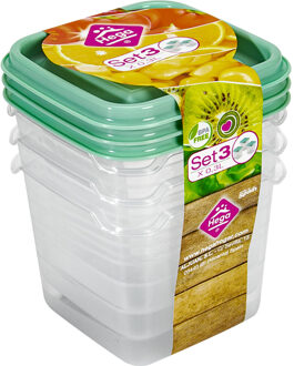 Hega hogar Vershoudbakjes Hega - set van 3x stuks - 0.3 liter - transparant/groen - L8 x B8 x H11 cm