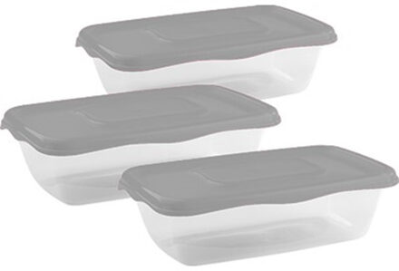Hega hogar Vershoudbakjes Hega - set van 3x stuks - 0.9 liter - transparant/grijs - L20 x B12 x H8 cm