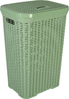 Hega hogar Wasmand met deksel Rotan - groen - kunststof - 60L - 34 x 43 x 62 cm - Wasmanden