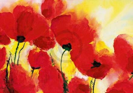 Heidi Reil - Roter Mohn Toskana Kunstdruk 100x70cm