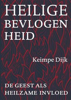 Heilige bevlogenheid -  Keimpe Dijk (ISBN: 9789493349384)