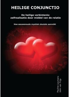 Heilige conjunctio - Boek Pauline Laumans (9491310062)