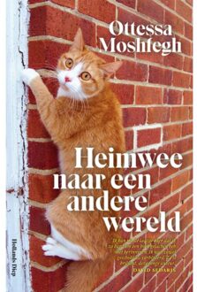 Heimwee naar een andere wereld