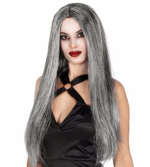 Heksen damespruik met lang grijs haar