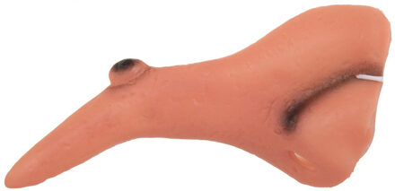 Heksen neus met wrat - Carnaval verkleed neuzen - Heksenfeestje