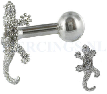 Helix hagedis kristallen