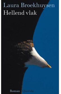 Hellend vlak - Boek Laura Broekhuysen (9021440199)