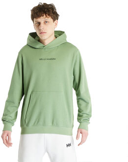Helly Hansen Core Graphic Sweat Casual Sweater Heren L Groen