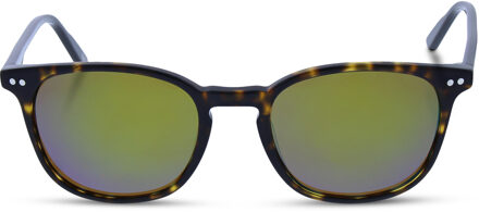 Helly Hansen Sunglasses HH5011 C03 49 Bruin