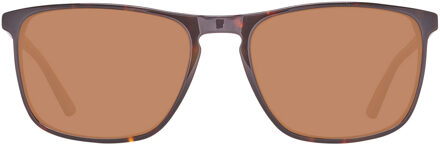 Helly Hansen Zonnebril HH5004 C01 Bruin