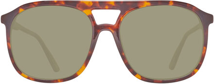 Helly Hansen Zonnebril HH5019 C02 Bruin - One Size