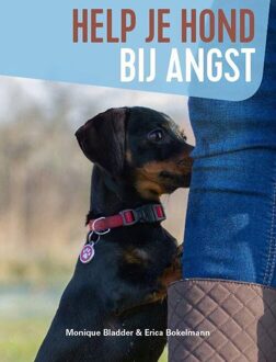 Help Je Hond Bij Angst - (ISBN:9789493160002)