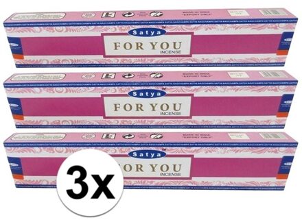 HEM 3x Nag Champa wierook For You 15 gram - Action products