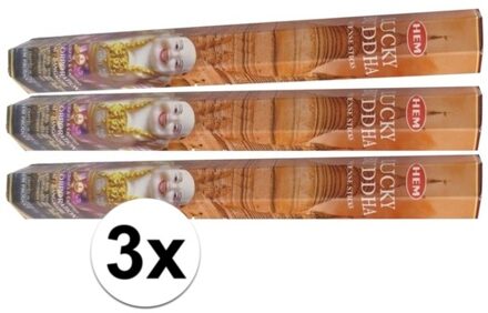 HEM 3x pakje wierook Lucky Buddha - Action products
