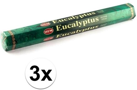 HEM 3x Wierook stokjes eucalyptus - Wierookstokjes