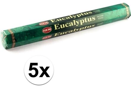 HEM 5x Eucalyptus wierook stokjes 20 stuks Multi