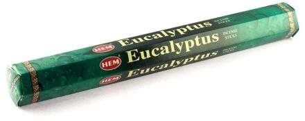 HEM eucalyptus wierook stokjes 20 stuks Multi