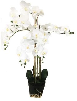 HEM Grote Levensechte Kunst Orchidee / Phlaenopsis plant 100 cm met pot - Witte kunst orchidee - Kunstplanten Groen