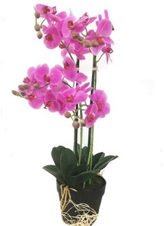 HEM Levensechte Kunst Orchidee / Phalaenopsis plant 75 cm met pot - Roze kunst orchidee - Kunstplanten Groen