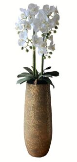 HEM Levensechte Kunst Orchidee / Phalaenopsis plant 75 cm met pot - Witte kunst orchidee - Kunstplanten Groen