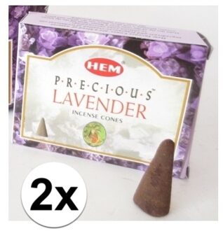 HEM Wierook kegeltjes in huisgeur Lavendel - 20x kleine kegeltjes - Ontspannend
