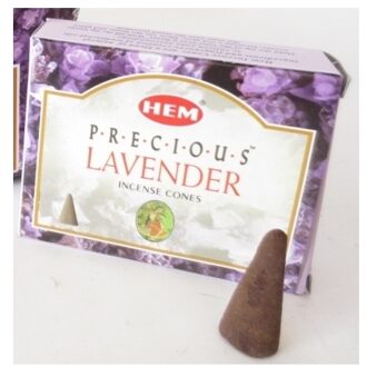 HEM Wierook kegeltjes in huisgeur Lavendel - 60x kleine kegeltjes - Ontspannend