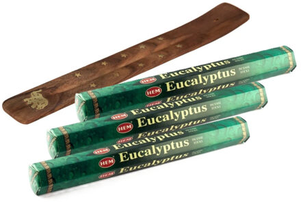 HEM Wierook stokjes Eucalyptus geur - voordeelpak met 60x stokjes - 25cm - met plankje/houder
