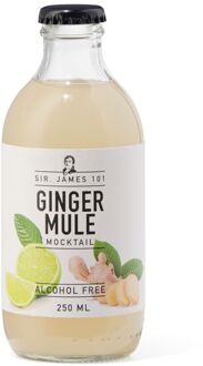 Hema Alcoholvrije ginger mule 250ml