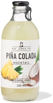 Hema Alcoholvrije pina colada 250ml